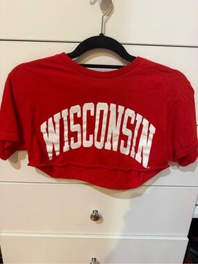 Wisconsin Cropped top